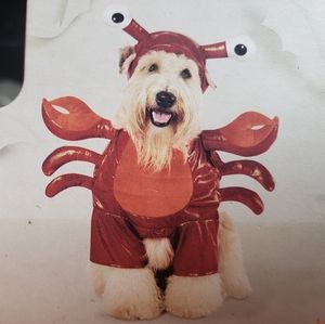 Dog Halloween Costume